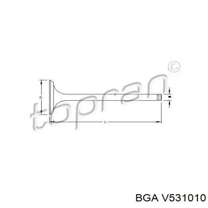 Válvula de admisión V531010 BGA