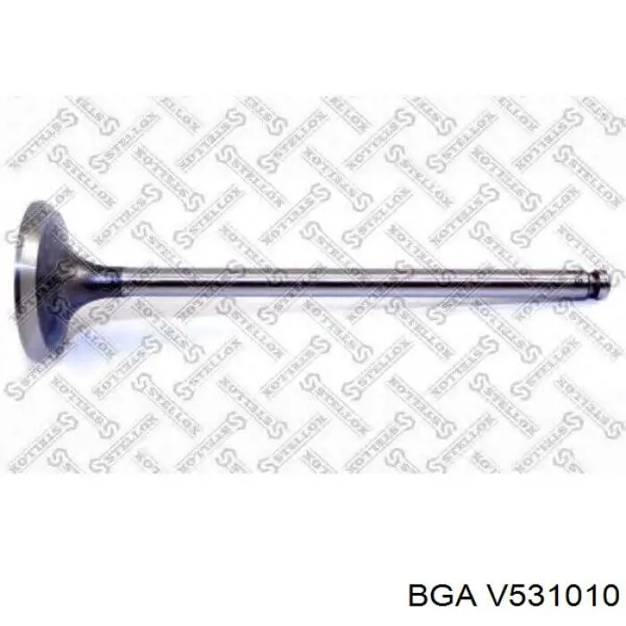 V531010 BGA клапан впускной