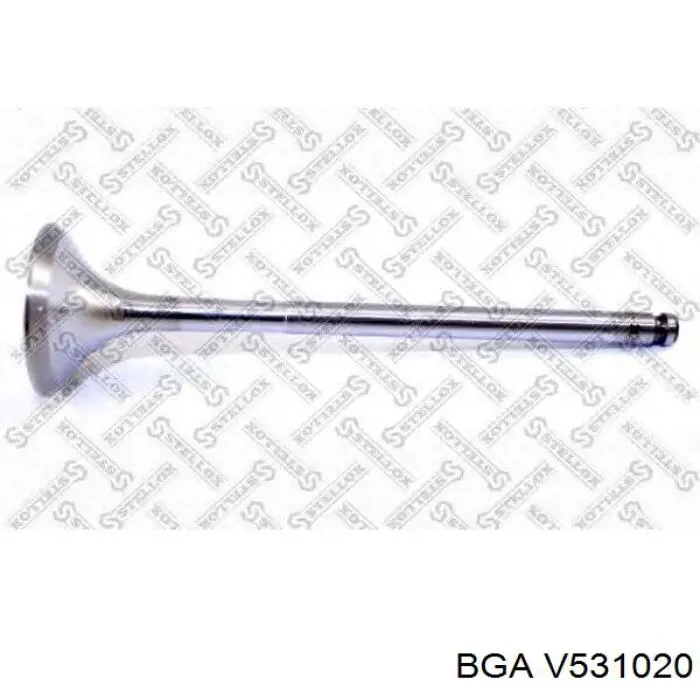 V531020 BGA клапан выпускной