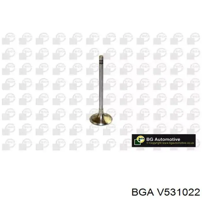 V531022 BGA клапан выпускной