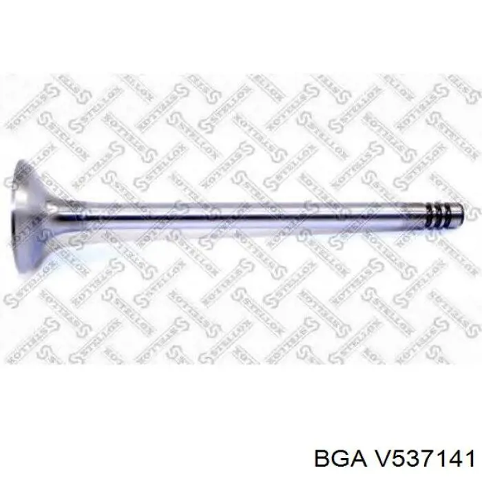 V537141 BGA клапан впускной