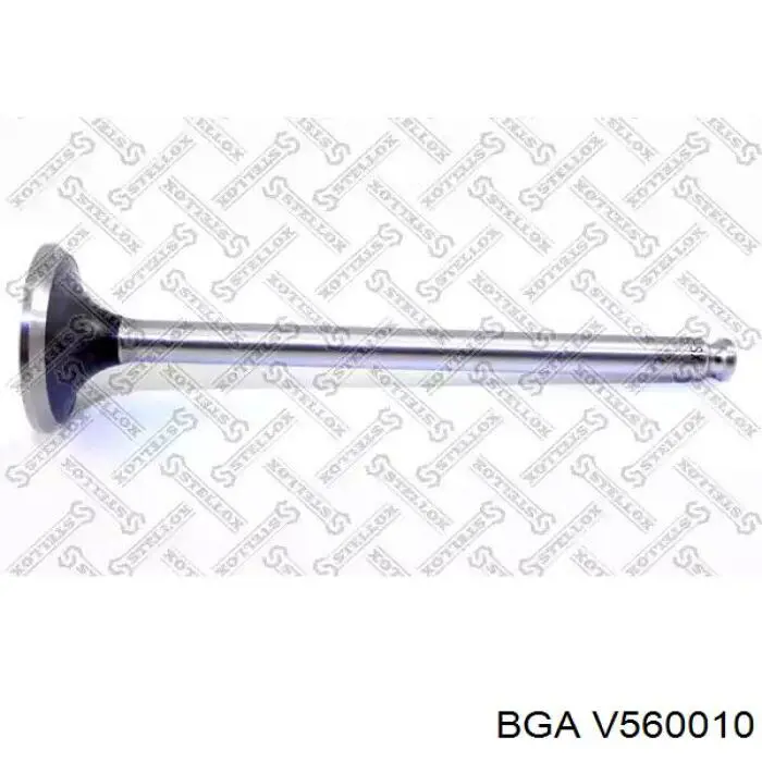 V560010 BGA