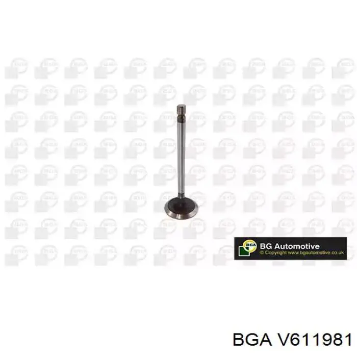 V611981 BGA клапан впускной