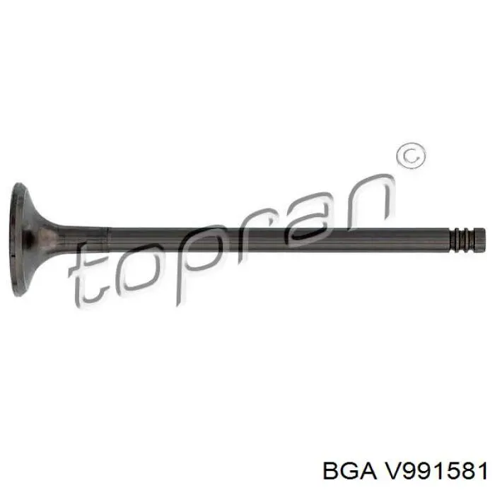 Купить FR6085 Freccia Впускной клапан