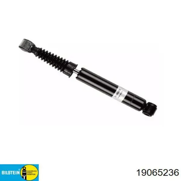 6025403676 Renault (RVI) Амортизаторы задние