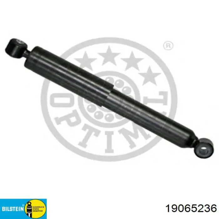 8671013009 Renault (RVI) Амортизаторы задние