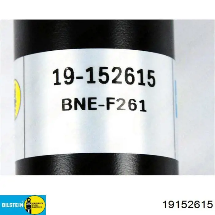 Задний амортизатор Bilstein 19152615