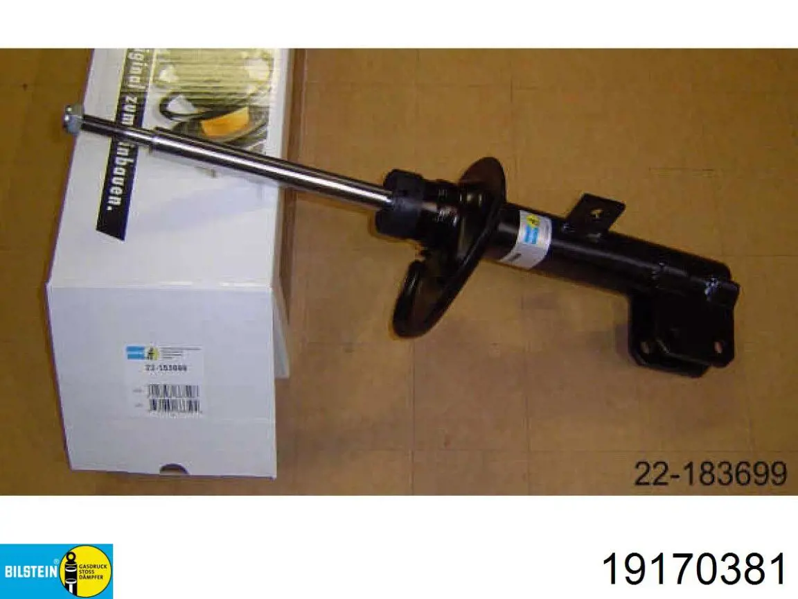 Амортизатор задний 19170381 Bilstein