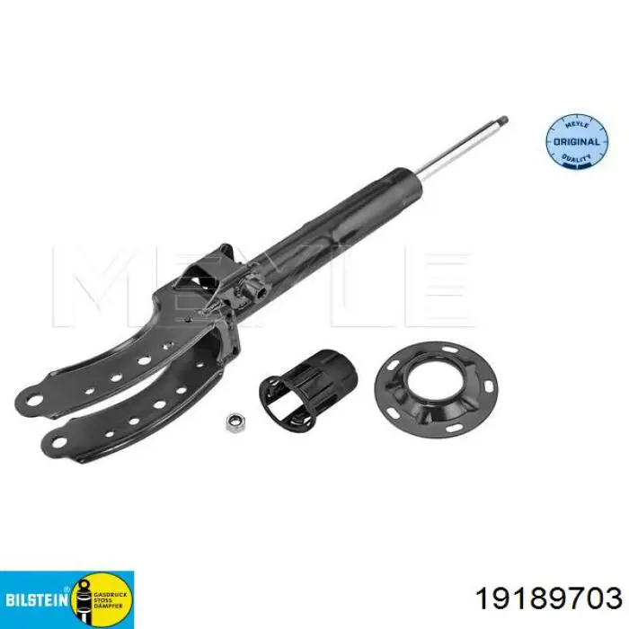 RS315998 Raiso Амортизатор передней подвески правый