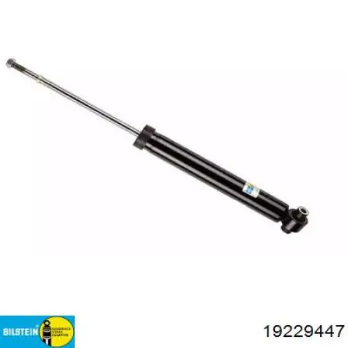 Амортизатор задний, правый Raiso RS315341 цена, от 20.05 USD