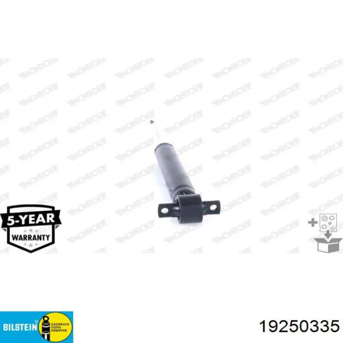 Амортизатор задний RS319546 Raiso