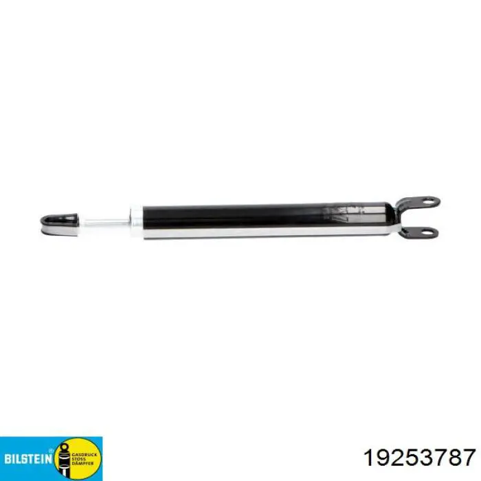 Амортизатор задний 19253787 Bilstein