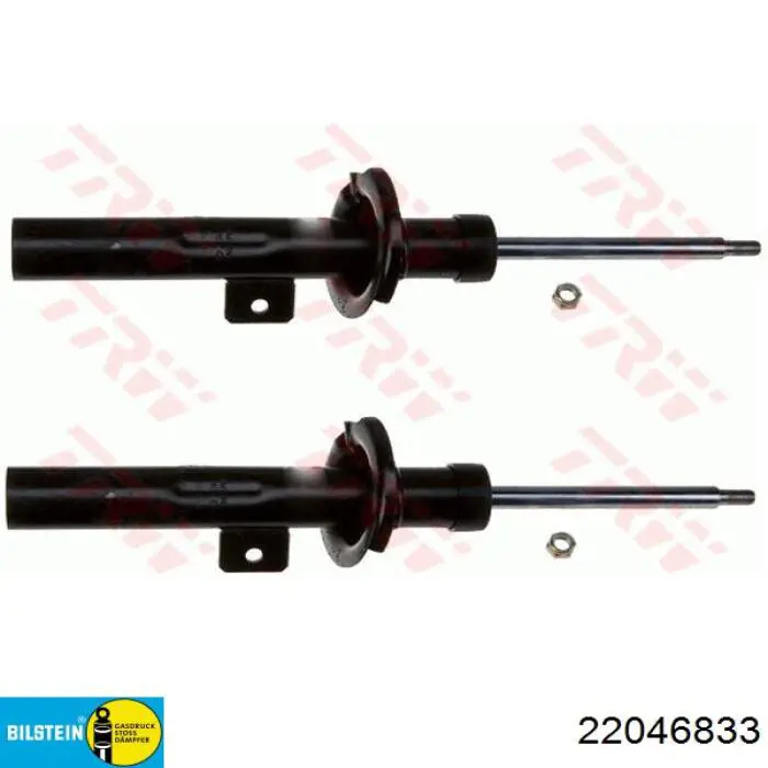 Амортизатор передний левый RS200839 Raiso