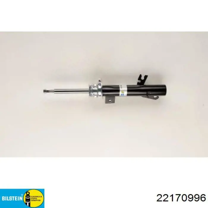 22170996 Bilstein
