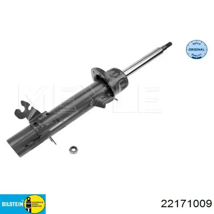 22171009 Bilstein