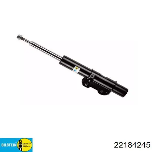 Амортизаторы передние Bilstein 22184245