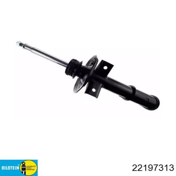Амортизаторы передние Bilstein 22197313