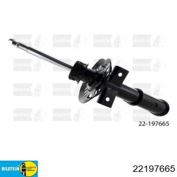 Амортизатор передний G99903 Tashiko