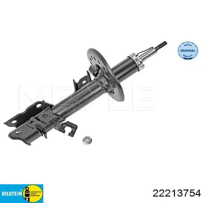 22213754 Bilstein