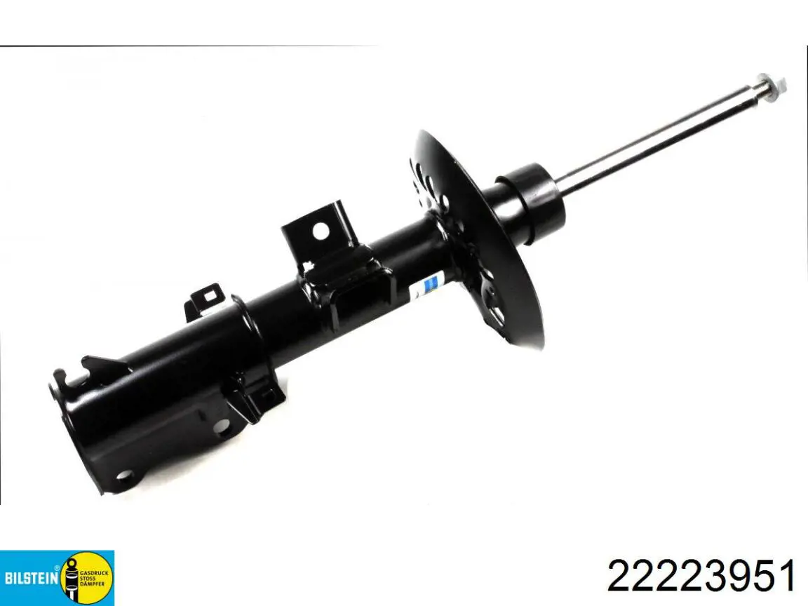 Амортизатор передний RS314885 Raiso