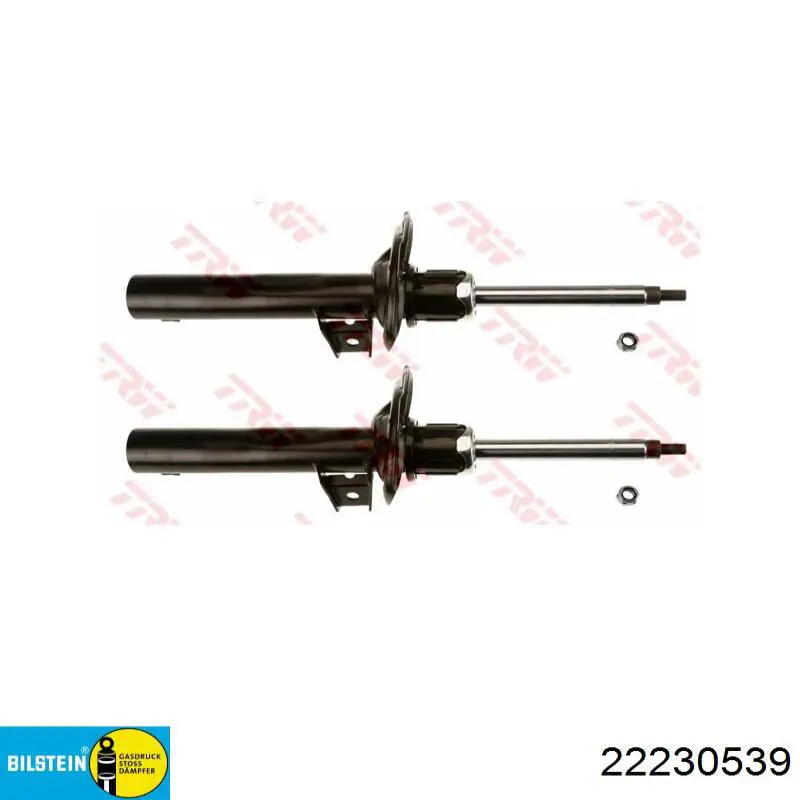 Амортизаторы передние Bilstein 22230539
