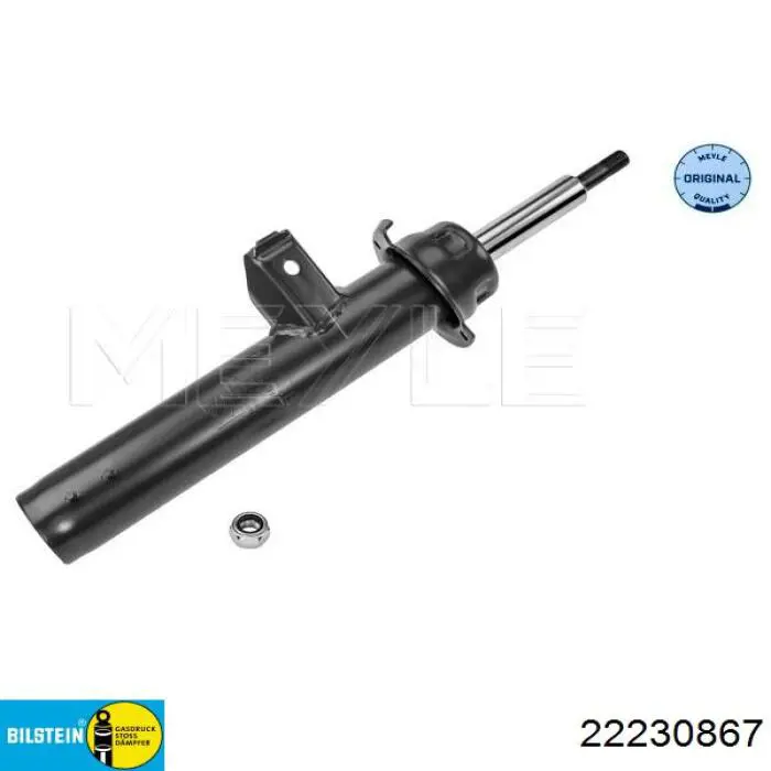 Амортизатор передний левый RS317562 Raiso