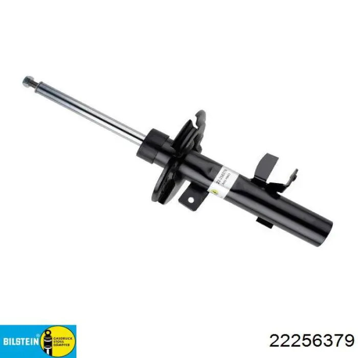 Амортизатор передний правый RS256379 Raiso