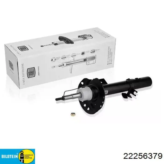 RS256379 Raiso Амортизатор передней подвески правый