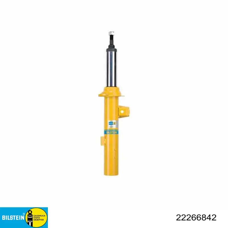 22266842 Bilstein 