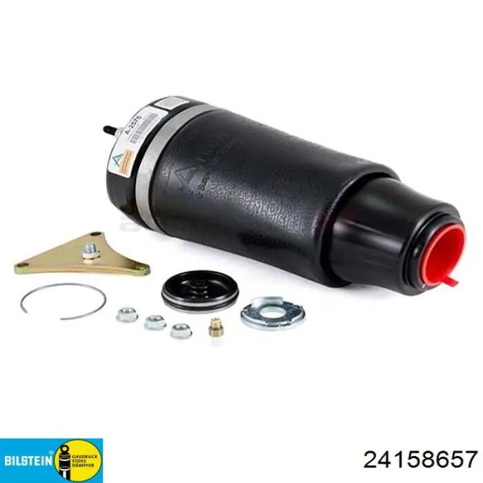 Стойка амортизатора задняя Tashiko AM930 цена, от 242.80 USD