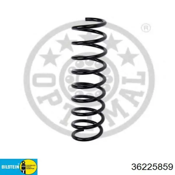 Задняя пружина 36225859 Bilstein