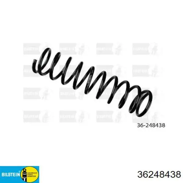  36248438 Bilstein