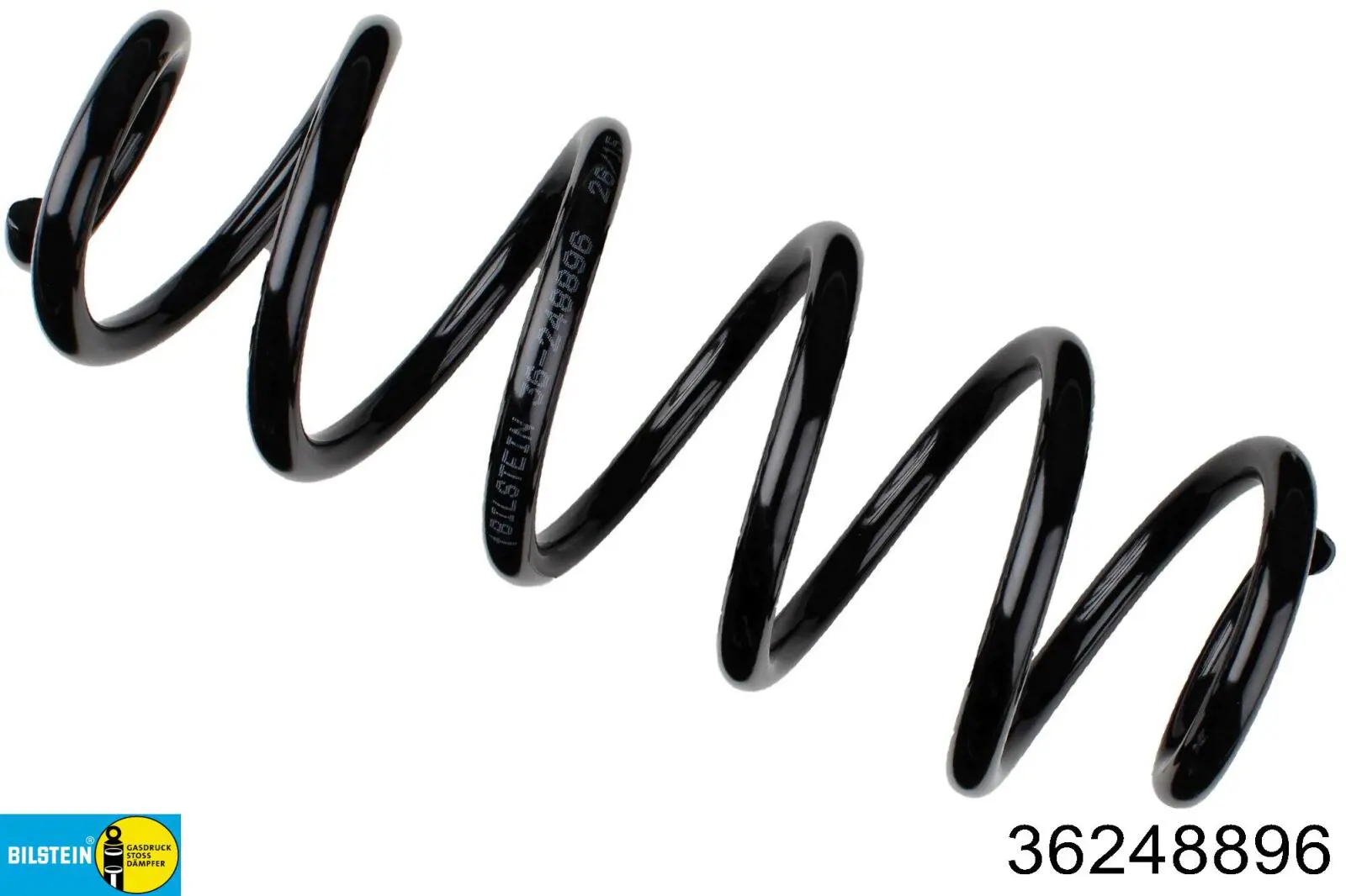 Задняя пружина SR099TP Raiso