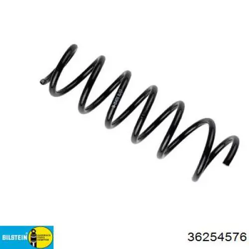 36254576 Bilstein mola traseira