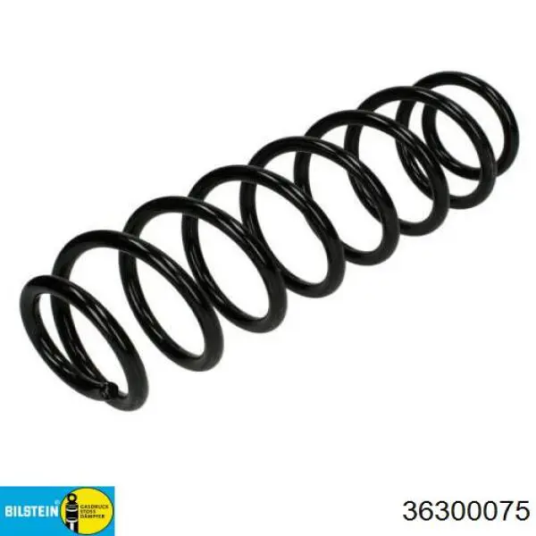 Задняя пружина SR063TP Raiso