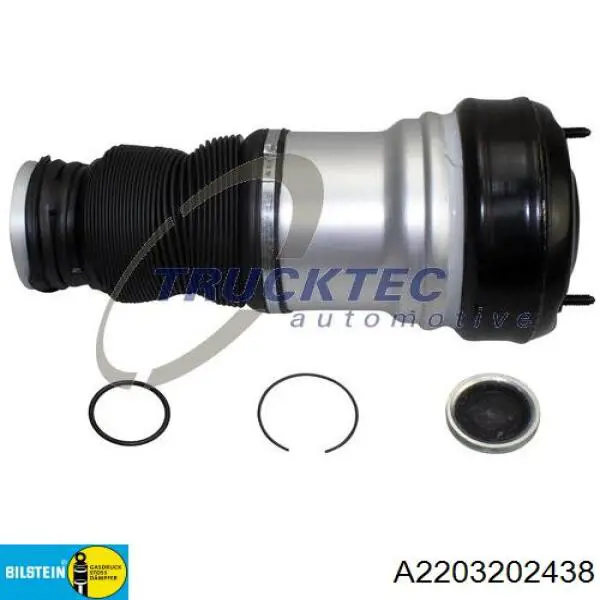 Амортизатор передний A220320243888 Mercedes