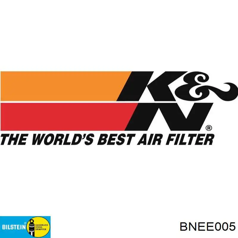 Амортизатор задний BNEE005 Bilstein