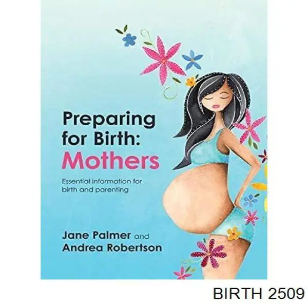 Купить 2509 Birth Сайлентблок нижний передней подвески