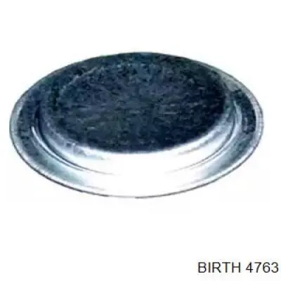 4763 Birth Заглушка двигателя