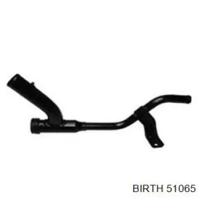 51065 Birth