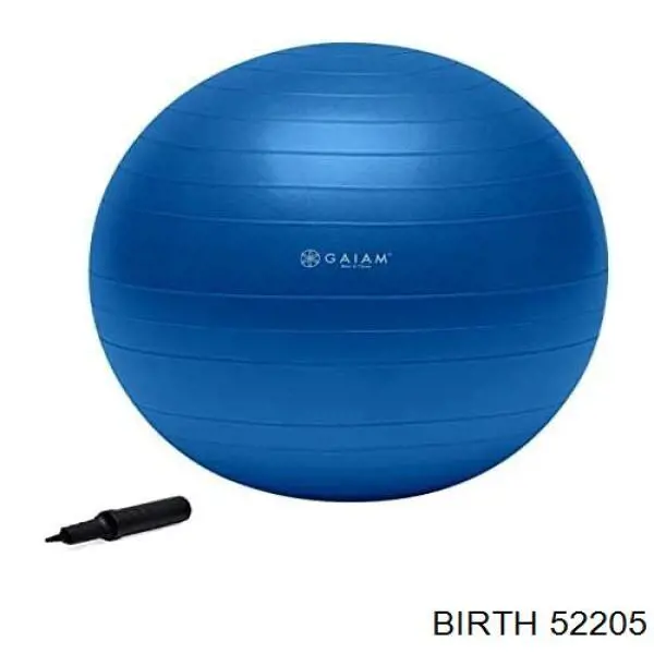 Задняя опора двигателя Birth 52205 цена, от 27.89 USD