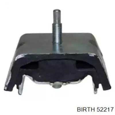 52217 Birth 