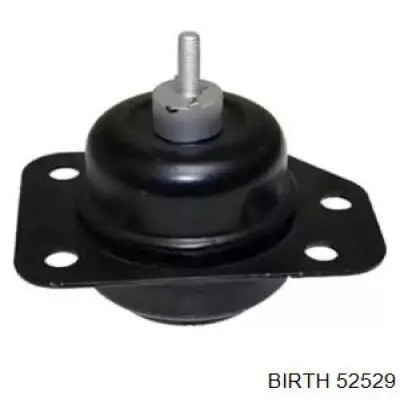 52529 Birth coxim (suporte direito de motor)