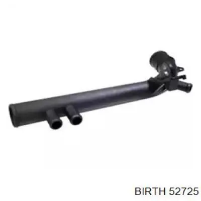 52725 Birth 