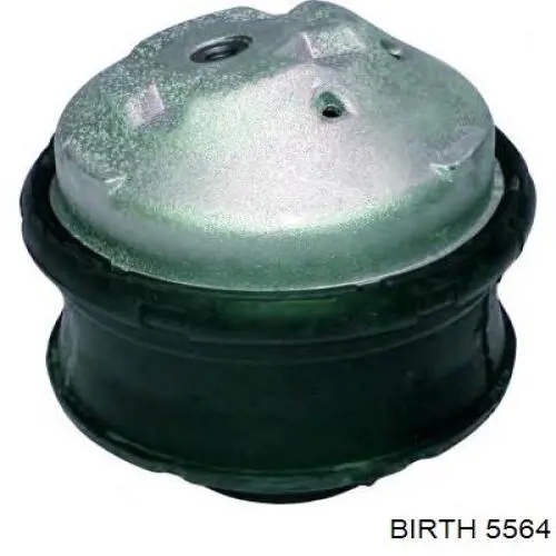 5564 Birth