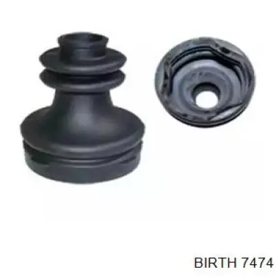 7474 Birth 