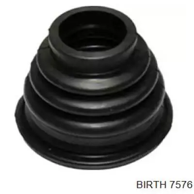 7576 Birth 