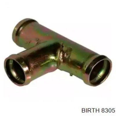 8305 Birth 