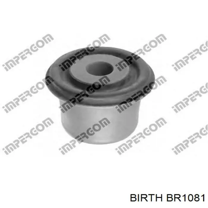 Рычаг передней подвески нижний левый/правый BR1081 Birth