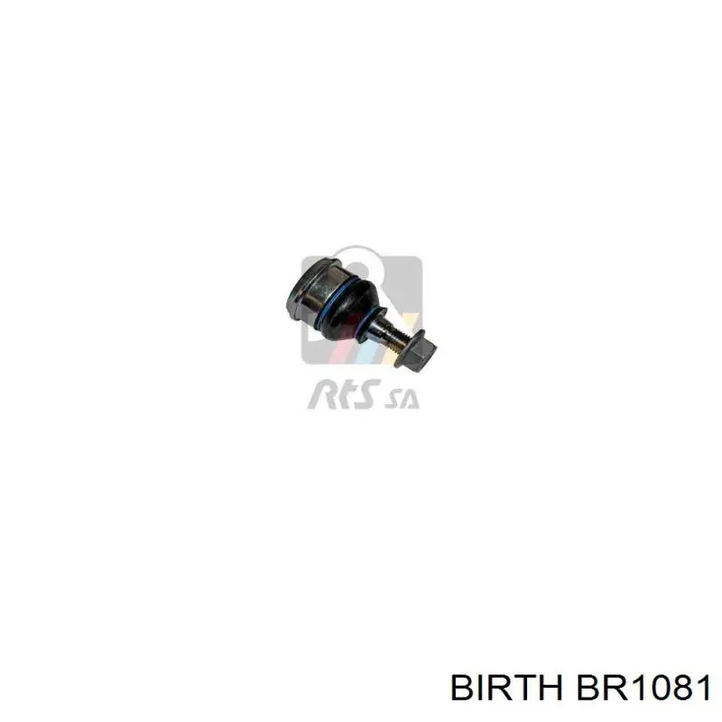 Купить BR1081 Birth Рычаг передней подвески нижний левый/правый